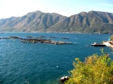 Черногория – октябрьские впечатления (День 2 и День 3)