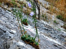 Черногория – октябрьские впечатления (День 2 и День 3)