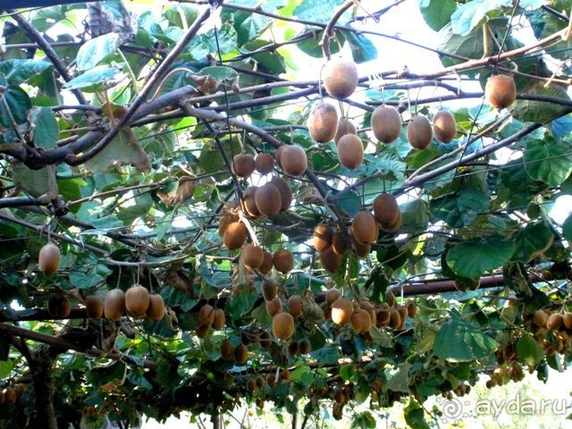 Черногория – октябрьские впечатления (День 2 и День 3)