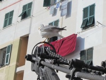 Лигурия западная и восточная. Генуя и окрестности. Часть 2