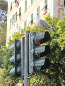 Лигурия западная и восточная. Генуя и окрестности. Часть 2