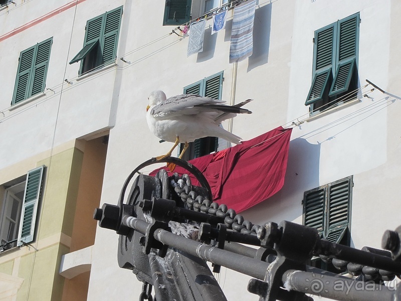 Лигурия западная и восточная. Генуя и окрестности. Часть 2