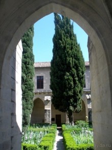 От Марселя до Каркассона: 5 городов за 5 дней (Авиньон)