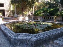 От Марселя до Каркассона: 5 городов за 5 дней (Авиньон)