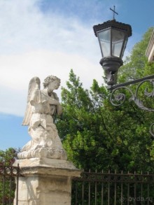 От Марселя до Каркассона: 5 городов за 5 дней (Авиньон)