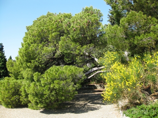 От Марселя до Каркассона: 5 городов за 5 дней (Авиньон)