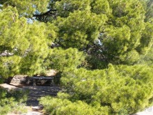 От Марселя до Каркассона: 5 городов за 5 дней (Авиньон)