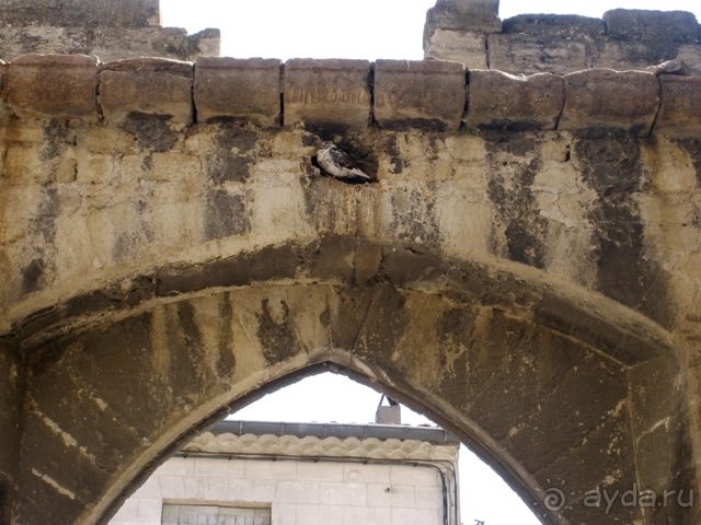 От Марселя до Каркассона: 5 городов за 5 дней (Авиньон)