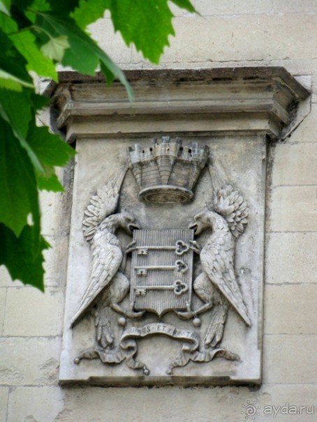 От Марселя до Каркассона: 5 городов за 5 дней (Авиньон)