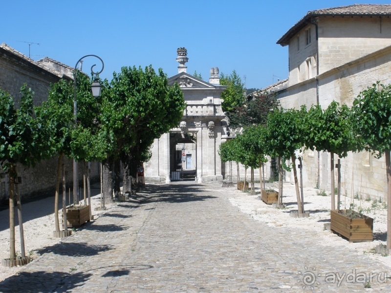 От Марселя до Каркассона: 5 городов за 5 дней (Авиньон)