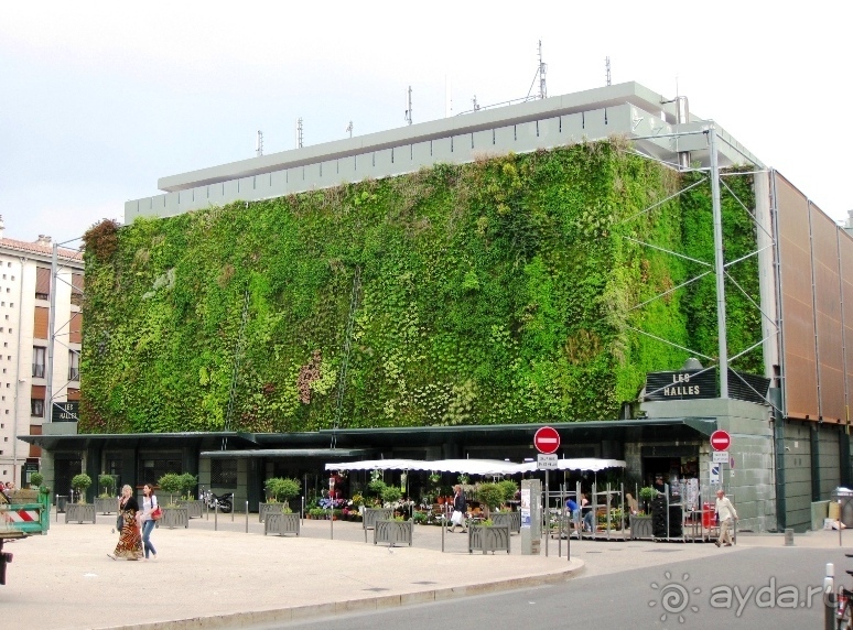 От Марселя до Каркассона: 5 городов за 5 дней (Авиньон)