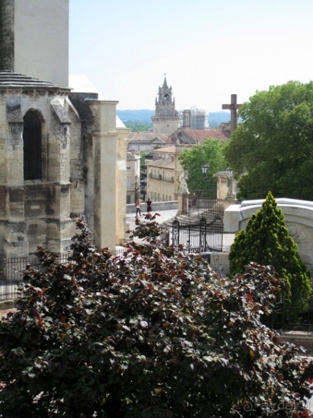 От Марселя до Каркассона: 5 городов за 5 дней (Авиньон)