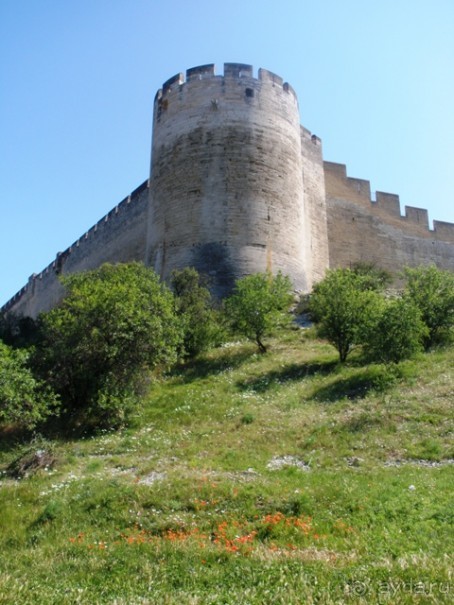 От Марселя до Каркассона: 5 городов за 5 дней (Авиньон)