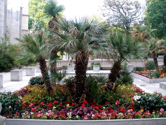 От Марселя до Каркассона: 5 городов за 5 дней (Авиньон)