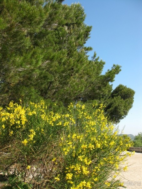 От Марселя до Каркассона: 5 городов за 5 дней (Авиньон)