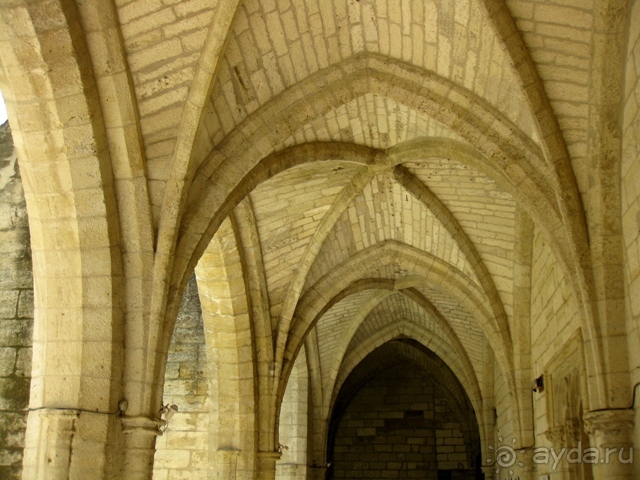 От Марселя до Каркассона: 5 городов за 5 дней (Авиньон)