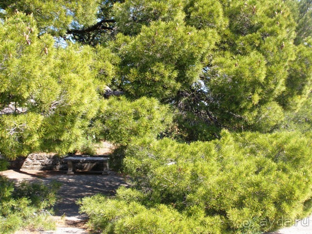 От Марселя до Каркассона: 5 городов за 5 дней (Авиньон)