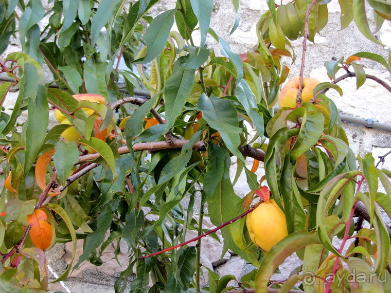 Новая попытка полюбить Италию – Умбрия. Часть 7