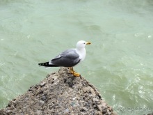 Андалусия-4: Севилья, Кармона, Эсиха, хересный треугольник и кадисский меридиан (часть 5)