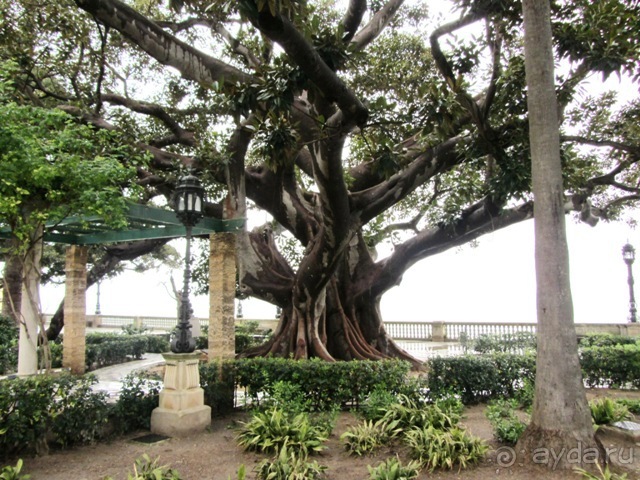 Андалусия-4: Севилья, Кармона, Эсиха, хересный треугольник и кадисский меридиан (часть 5)