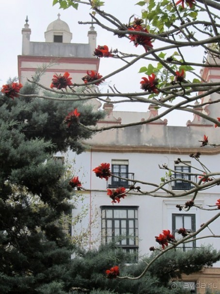 Андалусия-4: Севилья, Кармона, Эсиха, хересный треугольник и кадисский меридиан (часть 5)