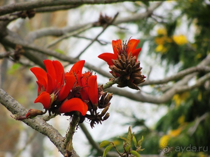 Андалусия-4: Севилья, Кармона, Эсиха, хересный треугольник и кадисский меридиан (часть 5)