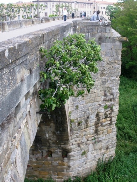 От Марселя до Каркассона: 5 городов за 5 дней (Каркассон)