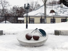 Новогодний Владимир - маленький снежный фоторассказ. Часть 1
