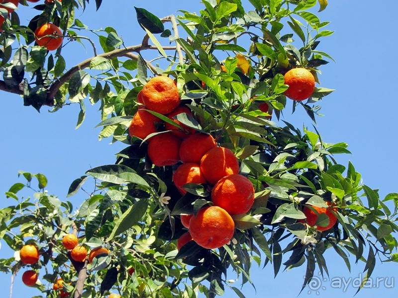 Дороги, которые нас выбирают: Неаполь, четыре "П" и Амальфитанское побережье. Часть 5