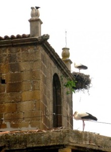 Аутентичная Испания-2: Эстремадура (Часть І)