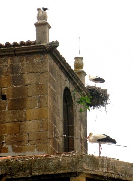 Аутентичная Испания-2: Эстремадура (Часть І)