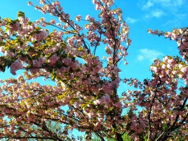 Аутентичная Испания-2: Эстремадура (Часть І)