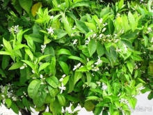 Аутентичная Испания-2: Эстремадура (Часть ІІ)