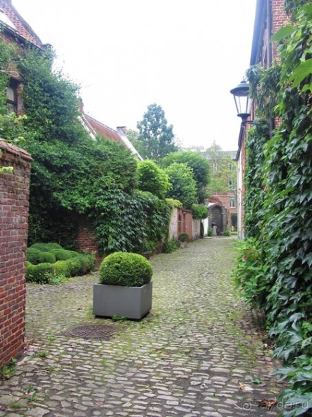 Бельгийские бродилки, пыхтелки и вопилки (с заездом в Маастрихт). Часть 10