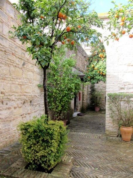 Андалусия-4: Севилья, Кармона, Эсиха, хересный треугольник и кадисский меридиан (часть 3)