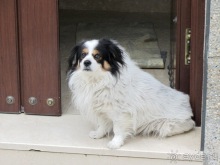 Андалусия-4: Севилья, Кармона, Эсиха, хересный треугольник и кадисский меридиан (часть 2)