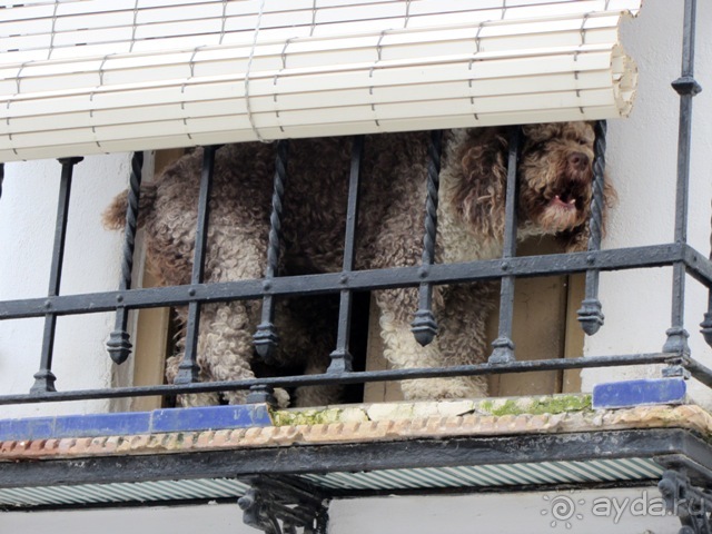 Андалусия-4: Севилья, Кармона, Эсиха, хересный треугольник и кадисский меридиан (часть 2)