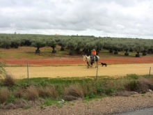 Андалусия-4: Севилья, Кармона, Эсиха, хересный треугольник и кадисский меридиан (часть 2)