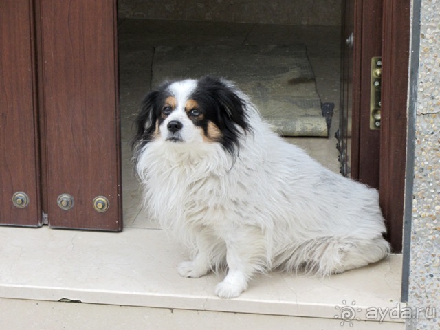 Андалусия-4: Севилья, Кармона, Эсиха, хересный треугольник и кадисский меридиан (часть 2)