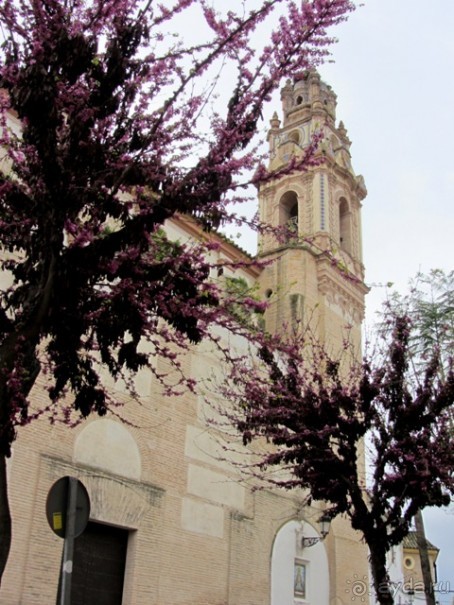 Андалусия-4: Севилья, Кармона, Эсиха, хересный треугольник и кадисский меридиан (часть 2)