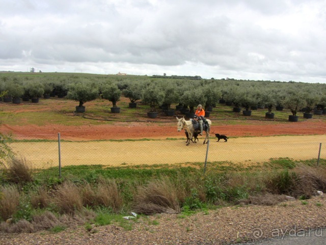 Андалусия-4: Севилья, Кармона, Эсиха, хересный треугольник и кадисский меридиан (часть 2)
