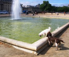 Франция без пиетета: путевой оливье (Париж и окрестности часть 5)