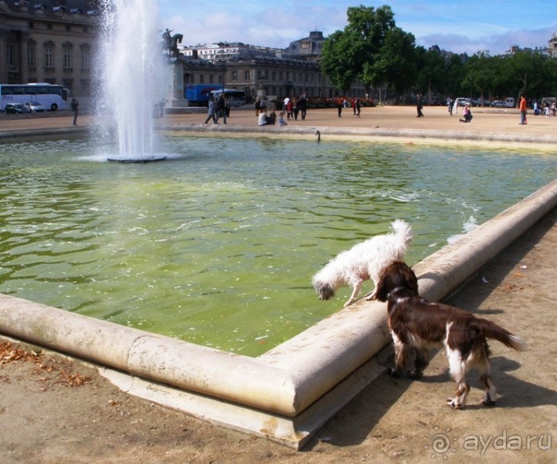 Франция без пиетета: путевой оливье (Париж и окрестности часть 5)