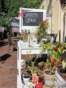 От Чинкве Терре до Флоренции, или боже, спаси Италию! Часть 1