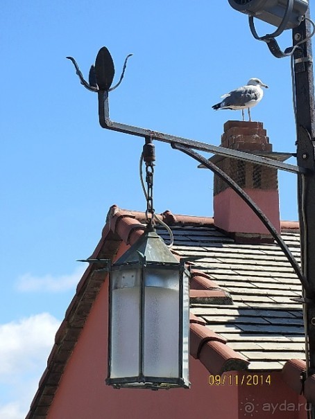 От Чинкве Терре до Флоренции, или боже, спаси Италию! Часть 1