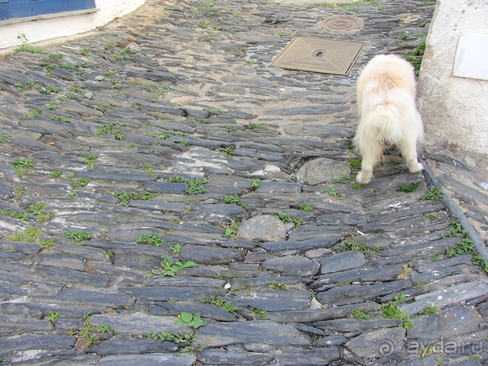 Кольцо мечты: Каталония, Пиренеи и Коста-Брава - по обе стороны границы. Часть 4