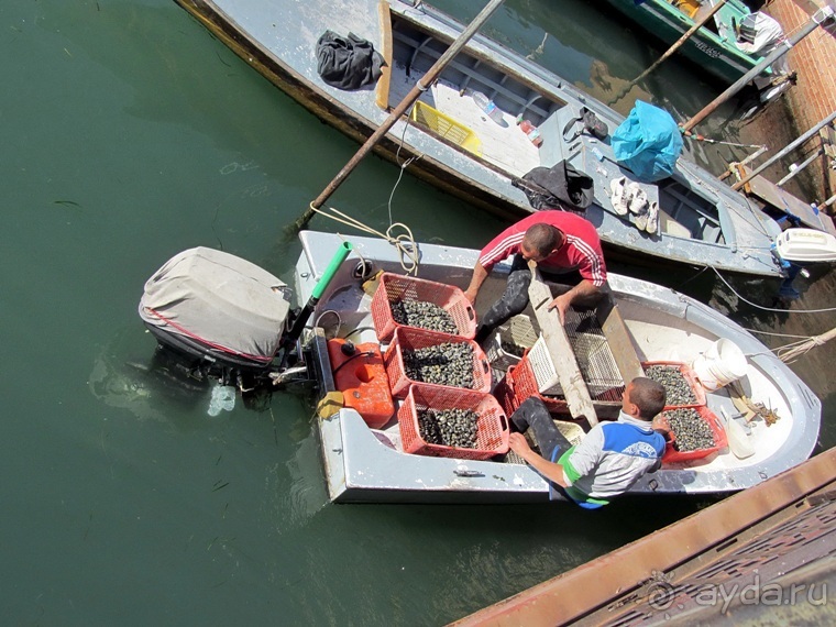 Кьоджа - маленькая Венеция