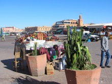 Возвращение на Восток: Марокко без мороки, или страна, которая не напрягает. Часть 10