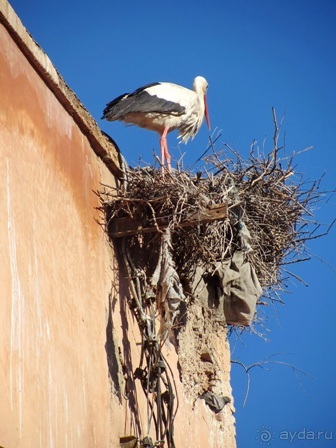 Возвращение на Восток: Марокко без мороки, или страна, которая не напрягает. Часть 10