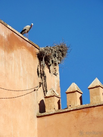 Возвращение на Восток: Марокко без мороки, или страна, которая не напрягает. Часть 10